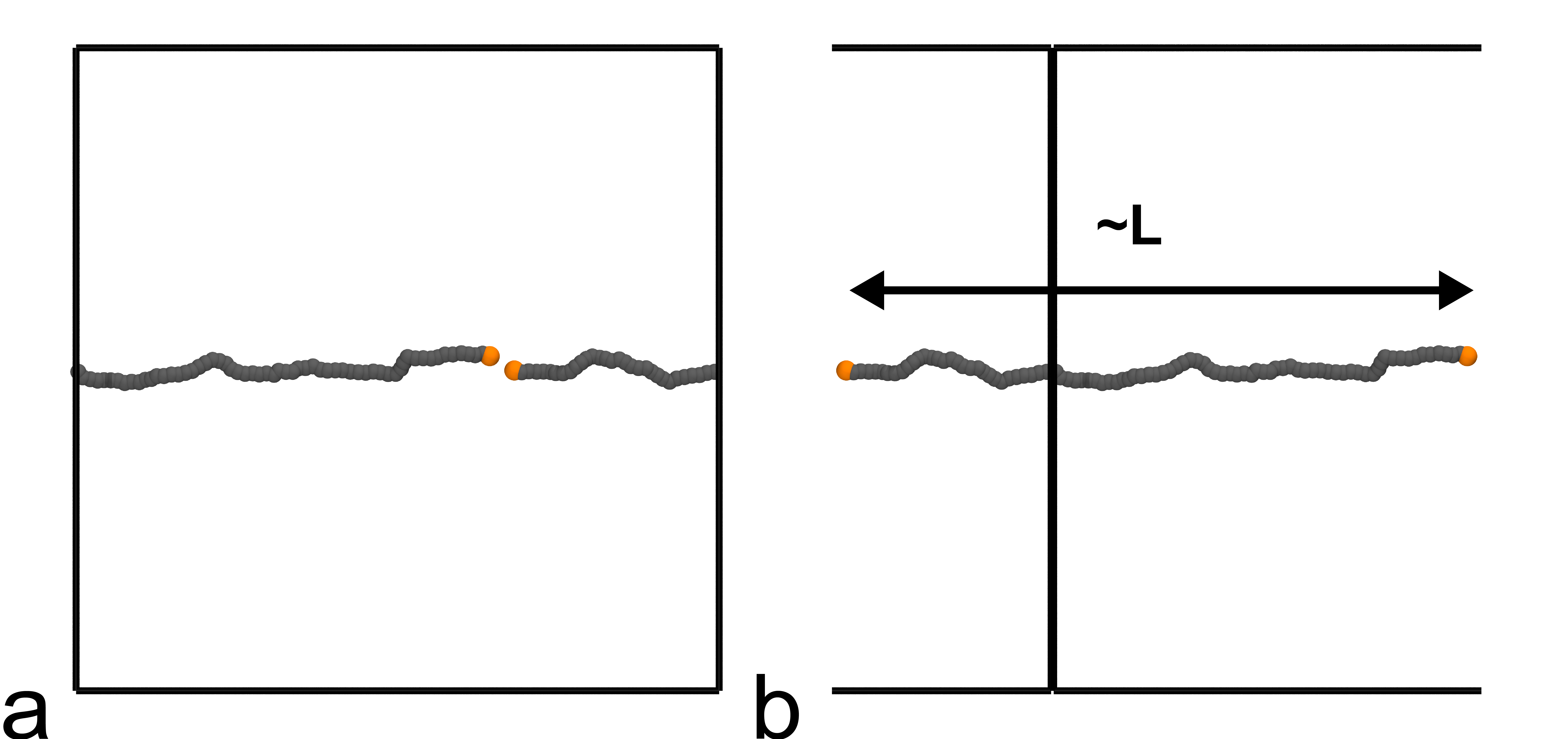 Polymer ligation in PBC